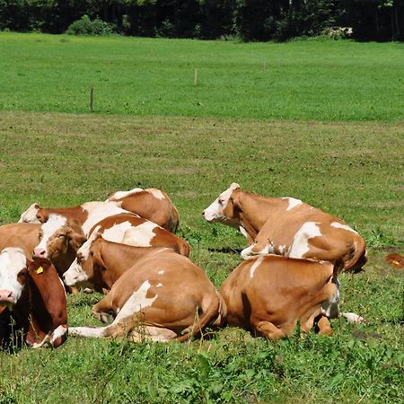 Ferienwohnung Dichtlbauer Sankt Gilgen Kültér fotó